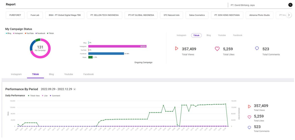 Influencer campaign report dashboard